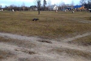 Поліція Рівненщини встановила обставини викрадення та жорстокого вбивства чоловіка (Фото)