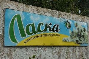 Директорка «Ласки» розповіла, чому в Луцьку немає сказу