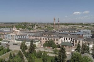 Гнідавський цукровий завод дає роботу 800 волинянам