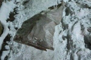 На гарячому спіймали лучанина, який жбурнув мішок сміття на тротуар біля сусідів