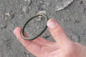 На Волині археологи знайшли схованку купця XIII століття