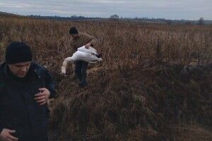 На Волині на очах в лебідки жорстоко вбили лебедя (Фото)
