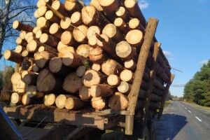 На Волині на гарячому спіймали два трактори завантажені нелегальною деревиною (Фото)