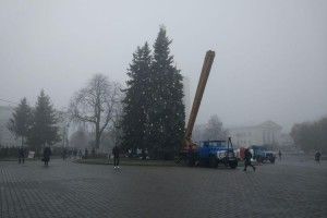 У Луцьку вдягають ялинку