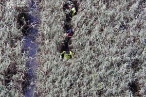 В Луцькому районі у болоті знайшли тіло чоловіка, який зник два місяці тому