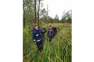 Дідуся-грибника на Рівненщині шукали поліцейські, лісівники й місцеві