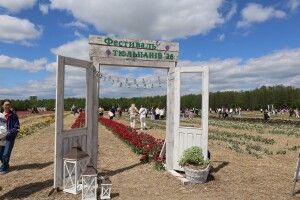 Тюльпанове поле для матерів загиблих захисників : 225 лучанок відвідали «Квітоліс» (Фото)