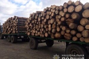 На Волині поліцейські затримали два причепи із лісодеревиною без документів