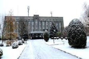 В райцентрі на Волині прикрасять одразу дві ялинки