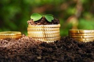 У 2018 році на Волині запрацює програма з мікрокредитування сільського підприємництва