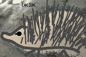 На одній з вулиць Луцька дитина побачила черепаху, мишку, їжака і ... пікачу