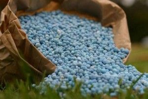 Українська митниця блокує ввезення білоруських добрив
