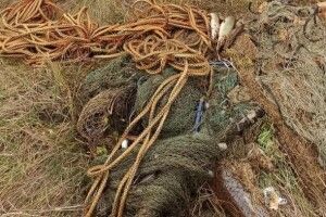 За тиждень на Волині браконьєри завдали збитків на 10 тисяч