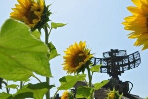 У Генштабі розповіли, що відбувається на різних напрямках на ранок 21 серпня
