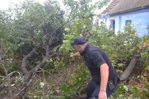 Ураган повалив дерева і пошкодив хати (Фото)