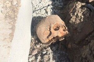 На Волині копали траншею, а знайшли… два черепи