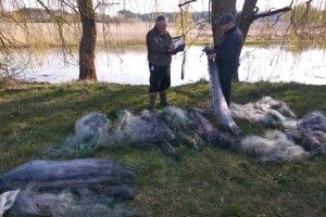 На Волині в озері виявили 100 сіток (Фото)