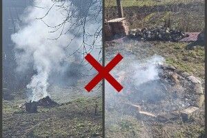 У Луцьку завдяки пильності містян виявили палійку сухостою