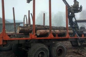 Прокуратура виявила «лівак» на пилорамах у Камінь-Каширському районі 