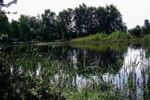 Яке село в Ратнівському районі буде без газу