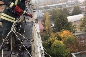 Бійці ДСНС врятували кота-верхолаза: видерся на козирок балкона аж на дев'ятому поверсі