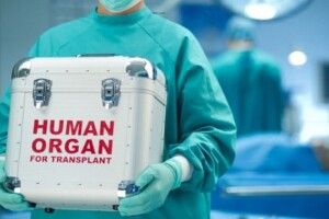 В Україні затвердили вартість трансплантації органів