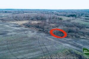 На Волині троє браконьєрів вбили самця козулі (Фото 18+)