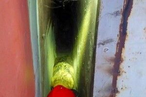 Бійцям ДСНС довелося визволяти пса з пекельної пастки
