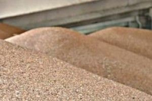 Правоохоронці завадили незаконному експорту більше 7 тисяч тонн пшениці на понад 1,2 мільйона доларів США