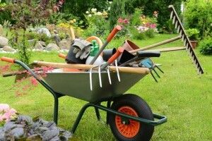 Луцькі садівники вимагають від міськради новий автобусний марщрут
