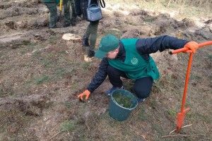 На Любомльщині молодий ліс садили з молитвою (Фото)