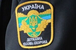 На Волині крадій деревини побив працівника лісової охорони
