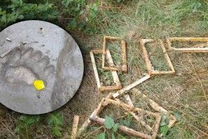 На Рівненщині знайшли сліди, ймовірно, ведмежі