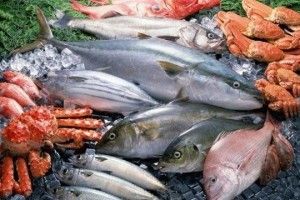 Хто купує нашу рибу?