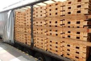У «Ягодині» затримали вантажівку з деревиною, яку вивозили до Польщі 