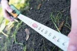 На Волині фермери самовільно зайняли 18 гектарів землі