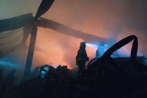 Масштабну пожежу в «Епіцентрі» на Миколаївщині загасили (Фото)