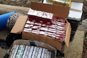 73 ящики сигарет виявили прикордонники у будинку лісника (Фото, відео)