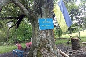 У Березній Волі клуб облаштували під деревом