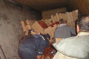 На Запоріжжі перевернулася вантажівка з п'ятьма тоннами полуниці (фото)