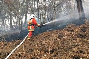 На Любешівщині виплачуватимуть грошову винагороду за виявлення паліїв