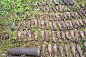 Біля Нової Вижви розмінували територію