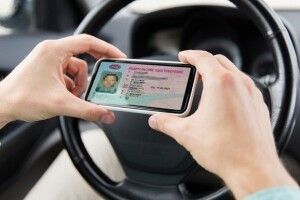 Як і коли завантажити водійські права у смартфон