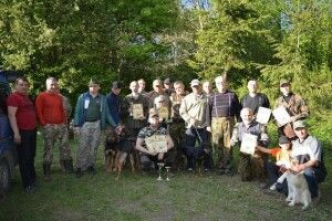 У Луцькому районі свою «професійну майстерність» демонстрували мисливські собаки з усієї України