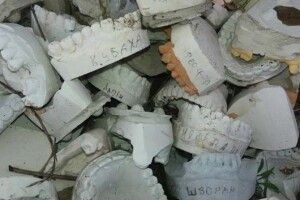 Цього разу у Ковелі просто неба викинули... зліпки щелеп (ФОТО)