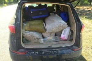 На Рівненщині вилучили бурштину на 1,5 мільйона гривень (відео)