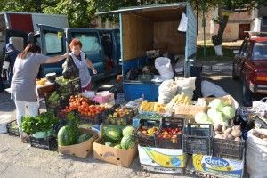 Зранку у Луцьку безплатно частували наливками (відео)
