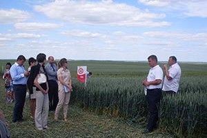 «ВОЛИНЬ-ЗЕРНО-ПРОДУКТ» ГОСПОДАРЮЄ ПО-ЄВРОПЕЙСЬКОМУ