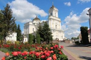 Біля кафедрального собору в Луцьку зацвіли тисяча троянд тридцяти сортів (фото)