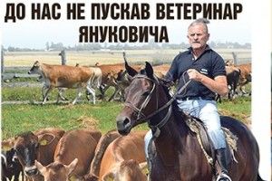 СУПЕРКОРІВ ДЖЕРСІ  ДО НАС НЕ ПУСКАВ ВЕТЕРИНАР ЯНУКОВИЧА